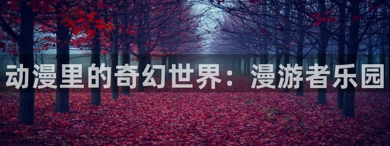 囧次元官网官方入门网站：动漫里的奇幻世界：漫游者乐园