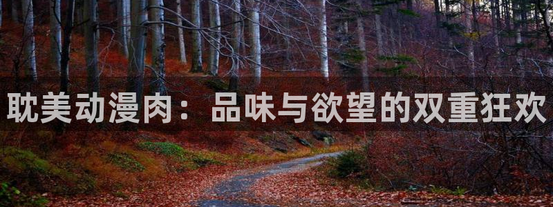 囧次元网页版入口网址
