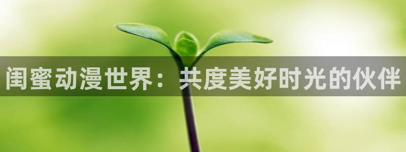 囧次元最新版本下载官方正版