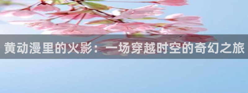囧次元网站入口
