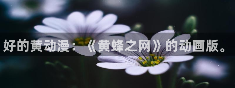 囧次元动漫下载app官网