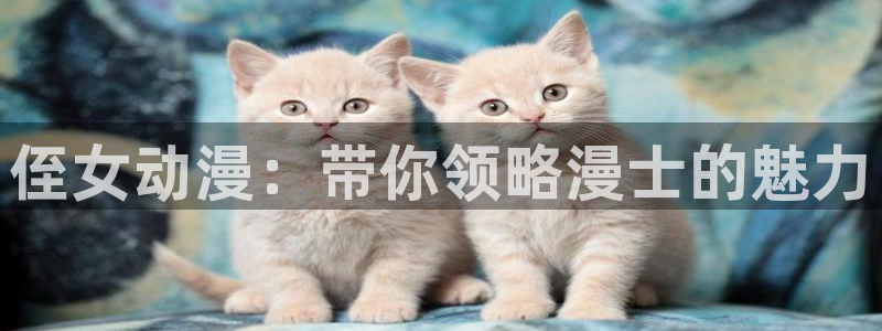 囧次元app正版