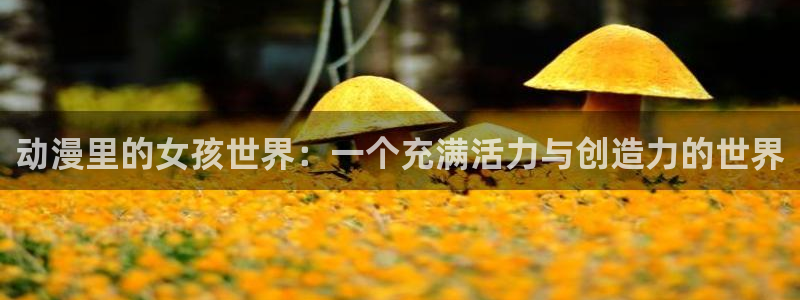 囧次元更新最新版本