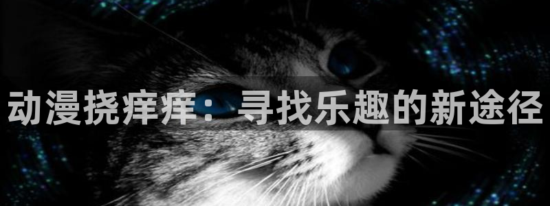 囧次元正版