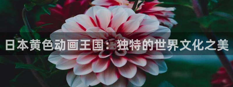 jcy.囧次元官网：日本黄色动画王国：独特的世界文化之美