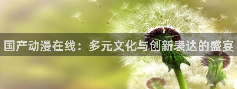 囧次元网页：国产动漫在线：多元文化与创新表达的盛宴