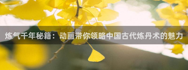 囧次元网页版在线：炼气千年秘籍：动画带你领略中国古代炼丹术的魅力