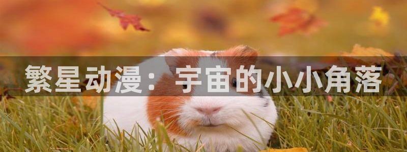 囧次元官方网站：繁星动漫：宇宙的小小角落