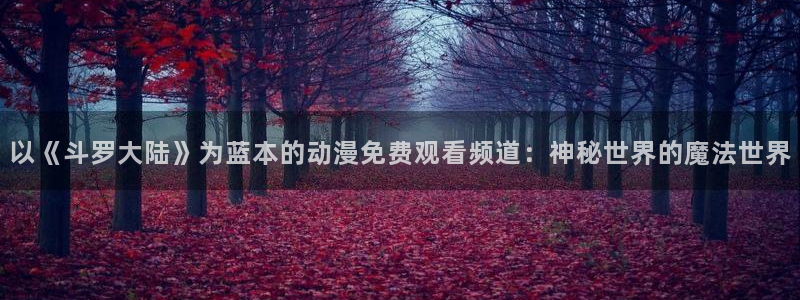 囧次元最新下载：以《斗罗大陆》为蓝本的动漫免费观看频道：神秘世界的魔法世界