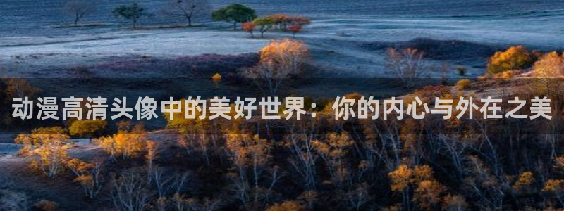 囧次元在线网站免费入口：动漫高清头像中的美好世界：你的内心与外在之美