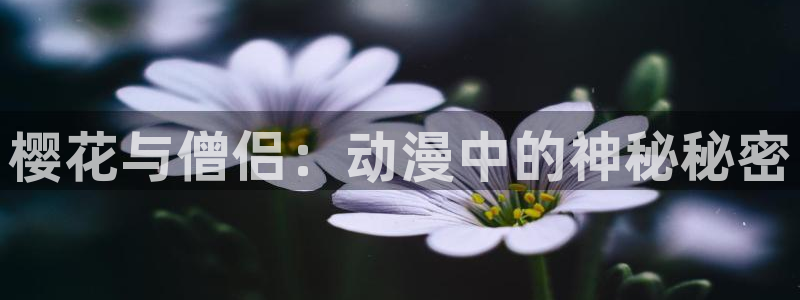 囧次元正版app下载入口：樱花与僧侣：动漫中的神秘秘密