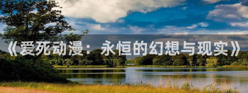 囧次元官方：《爱死动漫：永恒的幻想与现实》