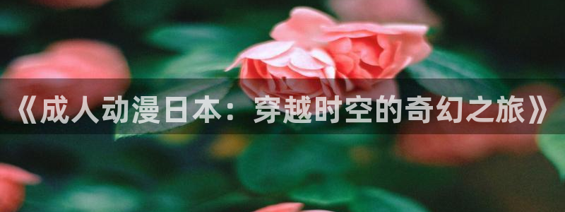 囧次元热门动漫有哪些：《成人动漫日本：穿越时空的奇幻之旅》