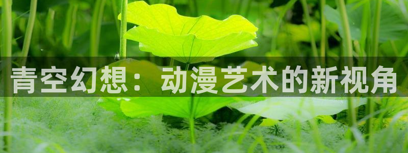囧次元官网下载：青空幻想：动漫艺术的新视角