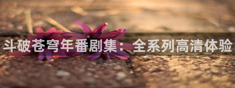 囧次元动漫：斗破苍穹年番剧集：全系列高清体验