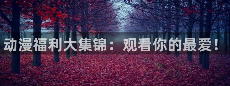 囧次元网站入口：动漫福利大集锦：观看你的最爱！
