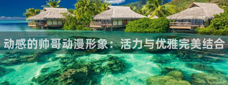 囧次元官网官网：动感的帅哥动漫形象：活力与优雅完美结合