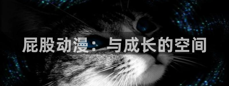 囧次元入口