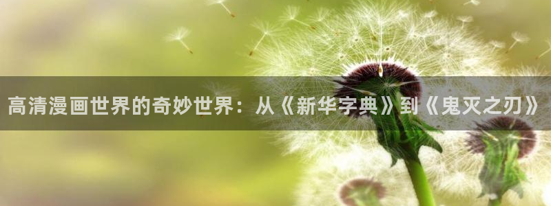 囧次元网站