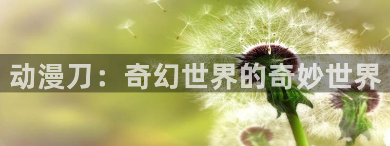 囧次元官网入口网址