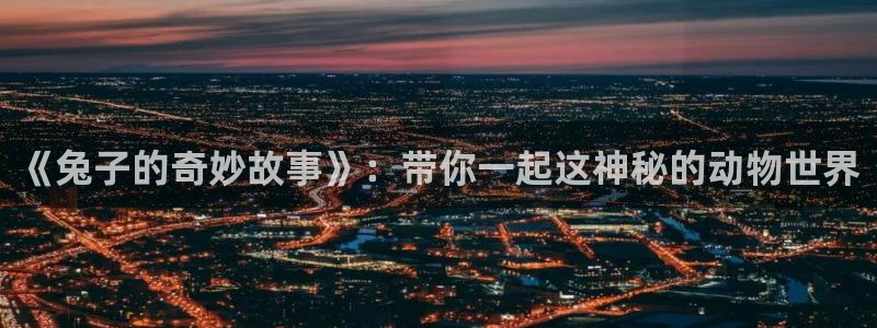 囧次元手机号注册入口：《兔子的奇妙故事》：带你一起这神秘的动物世界