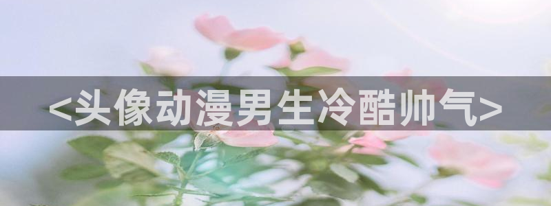 囧次元官网在线观看免费入口：<头像动漫男生冷酷帅气>