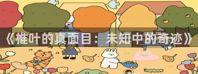 囧次元官方网址：《椎叶的真面目：未知中的奇迹》