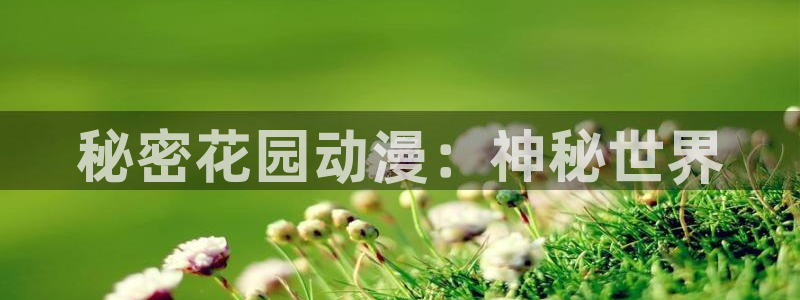 囧次元在线官网入口：秘密花园动漫：神秘世界