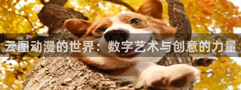 囧次元官方入口：云图动漫的世界：数字艺术与创意的力量