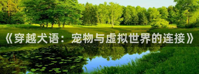 囧次元官网：《穿越犬语：宠物与虚拟世界的连接》