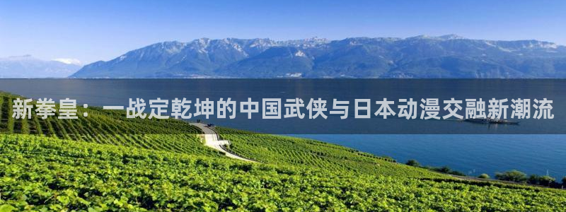 囧次元官网官方入门网站：新拳皇：一战定乾坤的中国武侠与日本动漫交融新潮流