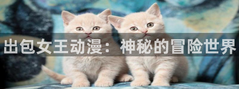 囧次元app官方：出包女王动漫：神秘的冒险世界