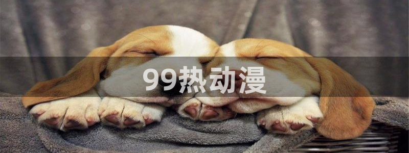 囧次元更新最新版本：99热动漫