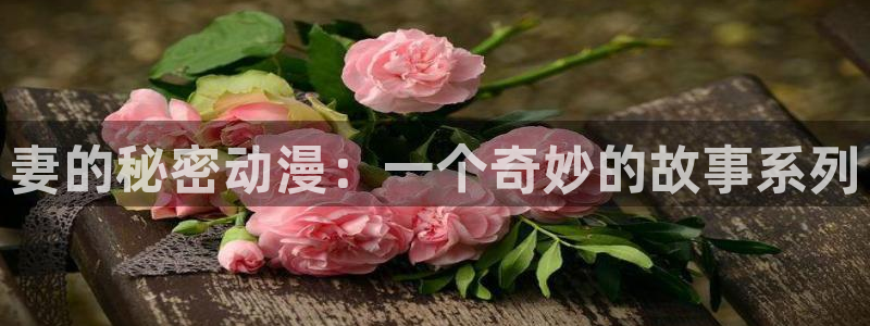 囧次元动漫app官网下载：妻的秘密动漫：一个奇妙的故事系列
