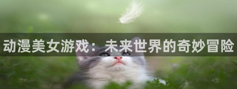 囧次元app正版下载：动漫美女游戏：未来世界的奇妙冒险