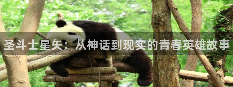 囧次元动漫app官网下载：圣斗士星矢：从神话到现实的青春英雄故事