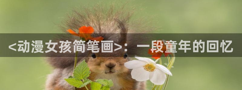 囧次元app下载官网版安卓：<动漫女孩简笔画>：一段童年的回忆