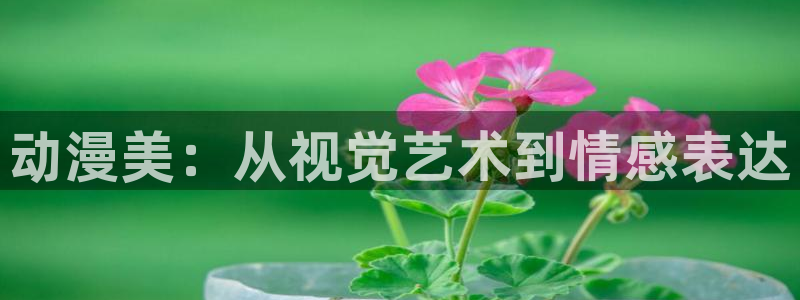 囧次元 下载：动漫美：从视觉艺术到情感表达