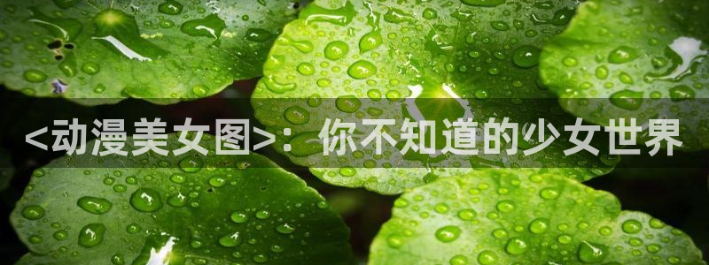 囧次元app官网入口：<动漫美女图>：你不知道的少女世界