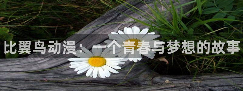 囧次元app官网下载：比翼鸟动漫：一个青春与梦想的故事