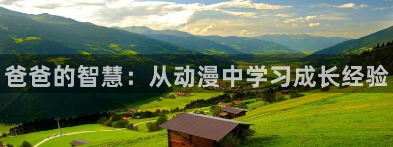 囧次元纯净版正版官网入口：爸爸的智慧：从动漫中学习成长经验