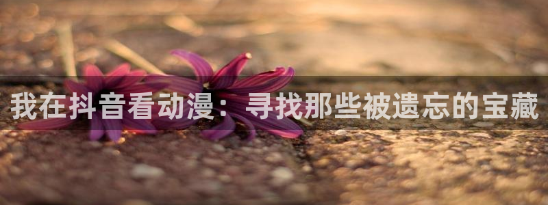 囧次元官网官方入口