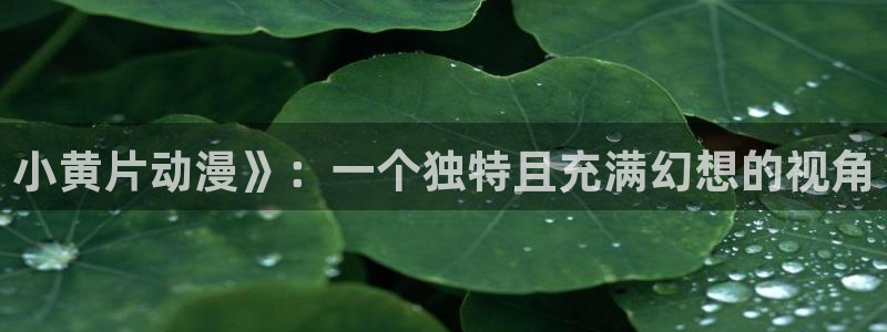 最新版囧次元app下载