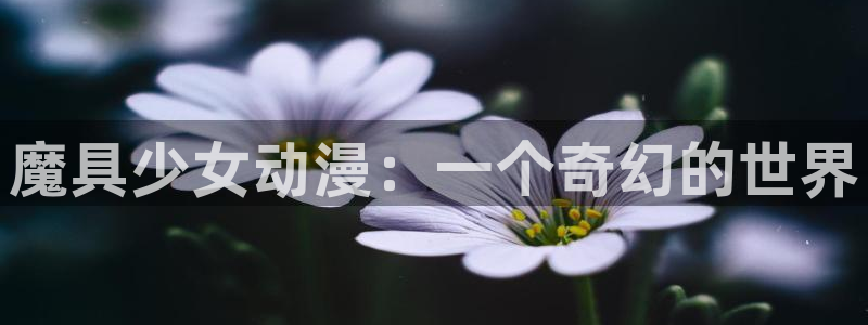 囧次元正版下载安装