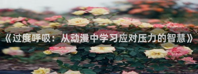 囧次元看动漫