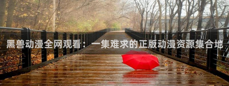 囧次元最新版官方正版：黑兽动漫全网观看：一集难求的正版动漫资源集合地