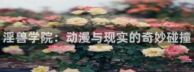 囧次元app官方下载：淫兽学院：动漫与现实的奇妙碰撞