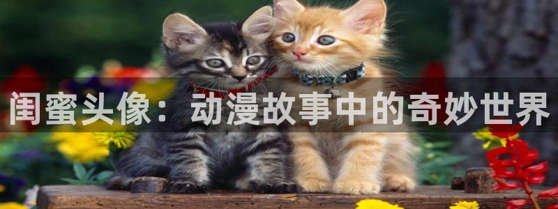 囧次元可看片子版：闺蜜头像：动漫故事中的奇妙世界