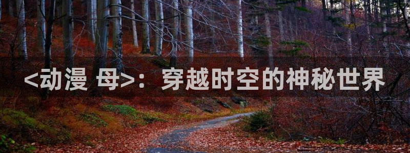 囧次元正版：<动漫 母>：穿越时空的神秘世界