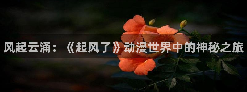 囧次元最新下载链接：风起云涌：《起风了》动漫世界中的神秘之旅